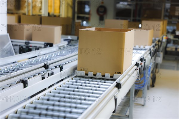 Cartons for dispatch on a conveyor belt in a logistics centre, Cologne, North Rhine-Westphalia, Germany, Europe