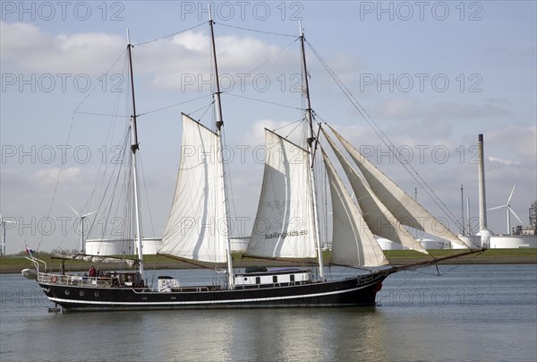 Sailing ship, Nieuwe Waterweg, ship canal between Maasluis and Hook of Holland, Netherlands