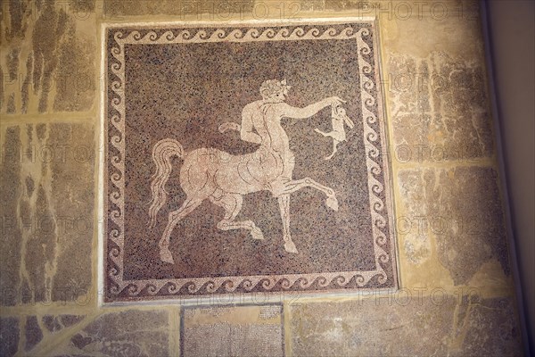 Mosaic on wall Archaeological museum, Rhodes, Greece, Europe