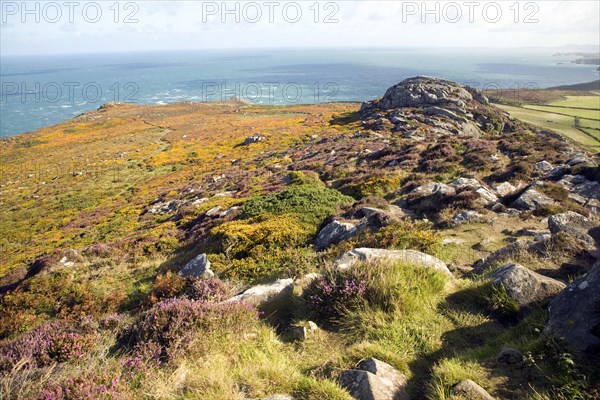 Carn Llidi tor looking north west, St David's Head, Pembrokeshire, Wales, United Kingdom, Europe