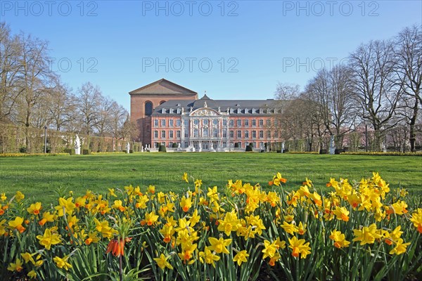 Electoral palace and Constantine basilica with palace garden in spring and blooming daffodils, flower bed, Trier, Rhineland-Palatinate, Germany, Europe