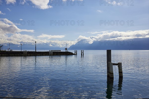 Duck dolphins in Lake Geneva with fog-covered mountains in the background with backlight in the harbour of Ouchy, Lausanne, district of Lausanne, Vaud, Switzerland, Europe