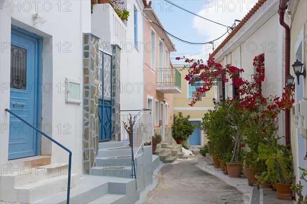 Quiet street with white houses, blue doors and potted plants on a stone staircase, Poros, Poros Island, Saronic Islands, Peloponnese, Greece, Europe
