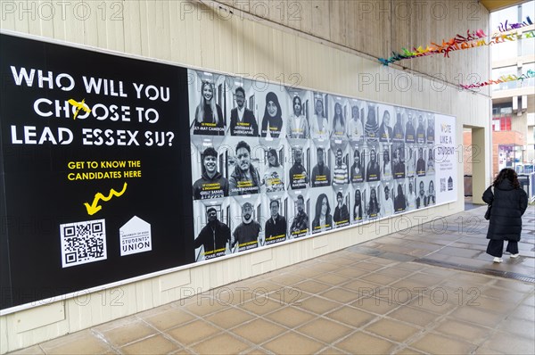 Election posters for student elections, University of Essex, Colchester, Essex, England, UK