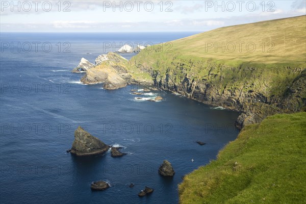 Cliffs coastal scenery, Hermaness, Unst, Shetland islands, Scotland, United Kingdom, Europe