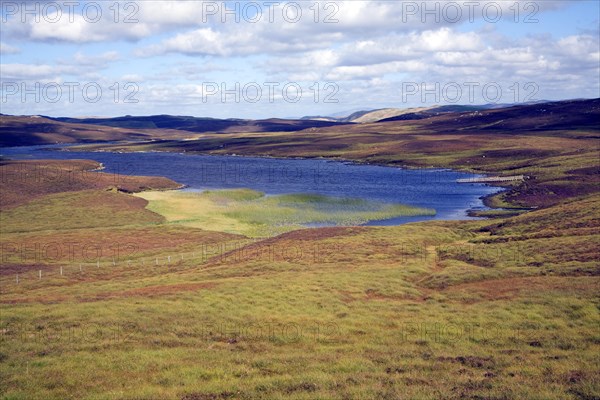 Loch of Flatpunds, near Walls, Mainland, Shetland Islands, Scotland, United Kingdom, Europe