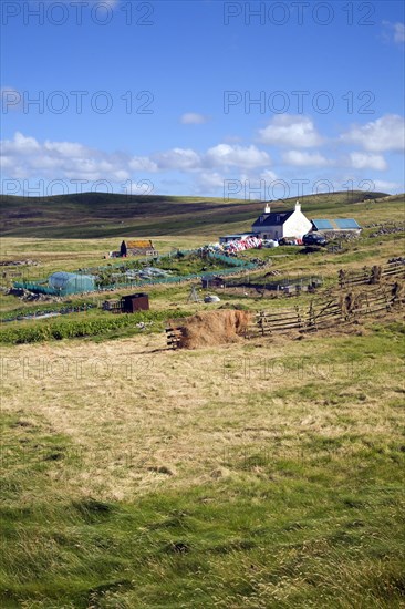 Croft house garden, Sandness, Mainland, Shetland Islands, Scotland, United Kingdom, Europe