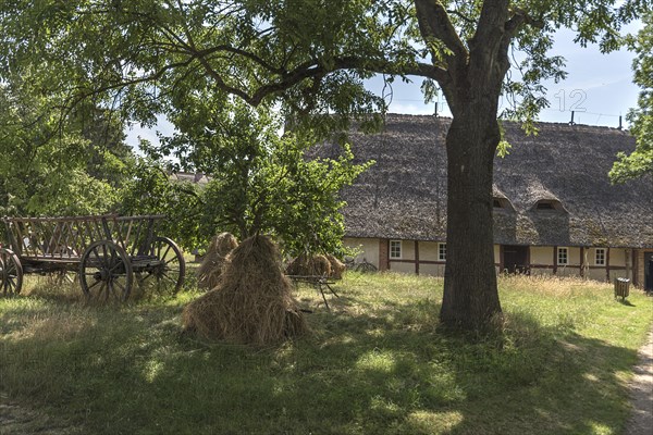 Hay wagon and sheaves of straw in the courtyard garden, behind a thatched farmhouse from the 19th century, Open-Air Museum of Folklore Schwerin-Muess, Mecklenburg-Western Pomerania, Germany, Europe