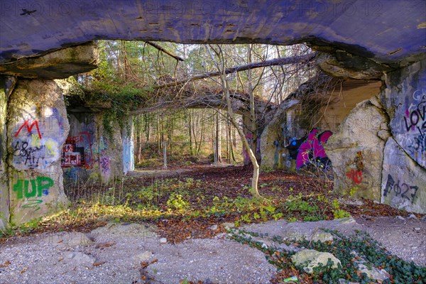 Colourfully painted ruins of a production bunker of the former explosives factory from the Third Reich, Geretsried, Upper Bavaria, Bavaria, Germany, Europe