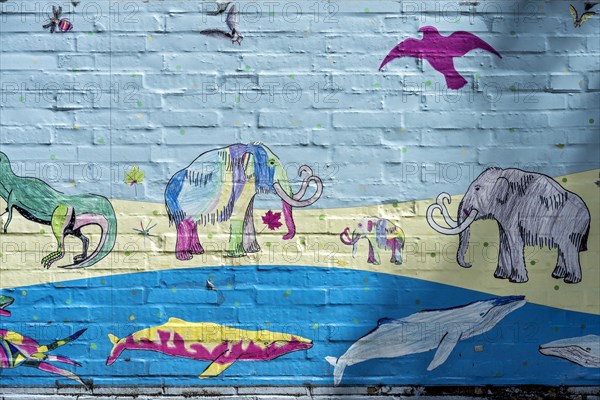 Animals of prehistoric times in water, land and air, whales, mammoths, pterosaurs, colourful illustration, children's drawing on the wall of the Hermann Hoffmann Academy, Justus Liebig University JLU, Altstadt, Giessen, Giessen, Hesse, Germany, Europe