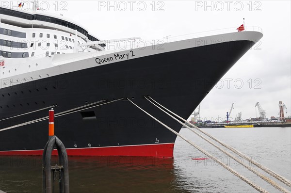 Front view of the bow of the Queen Mary 2 showing the waterline on the hull, Hamburg, Hanseatic City of Hamburg, Germany, Europe