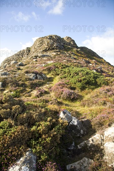 Carn Llidi tor, St David's Head, Pembrokeshire, Wales, United Kingdom, Europe