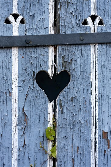 Wooden door with heart, stable door, light-coloured varnish, weathered, leaves of knotweed (Fallopia baldschuanica), old farmhouse, idyll, romantic, Nidda, Vogelsberg, Wetterau, Hesse, Germany, Europe