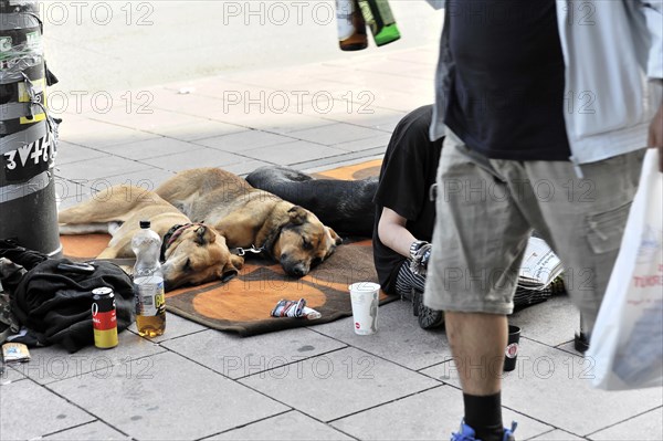 City scene with sleeping dogs and a beggar on the pavement, Hamburg, Hanseatic City of Hamburg, Germany, Europe