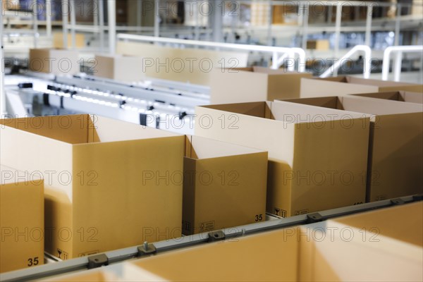 Cartons for dispatch on a conveyor belt in a logistics centre, Cologne, North Rhine-Westphalia, Germany, Europe