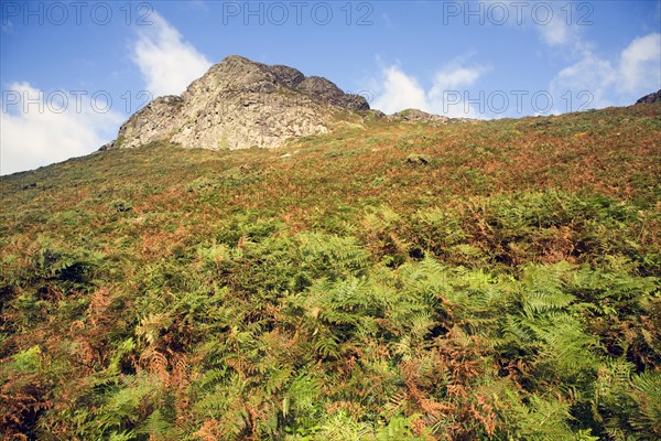 Carn Llidi tor, St David's Head, Pembrokeshire, Wales, United Kingdom, Europe