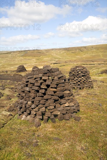 Peat cutting trenches, near Mid Walls, Mainland, Shetland Islands, Scotland, United Kingdom, Europe