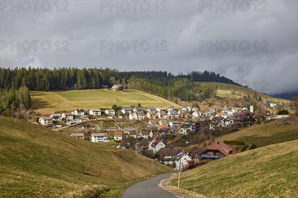 Sunny landscape in the Black Forest with cloudy sky and view of Guetenbach, Black Forest-Baar-Kreis, Baden-Wuerttemberg, Germany, Europe