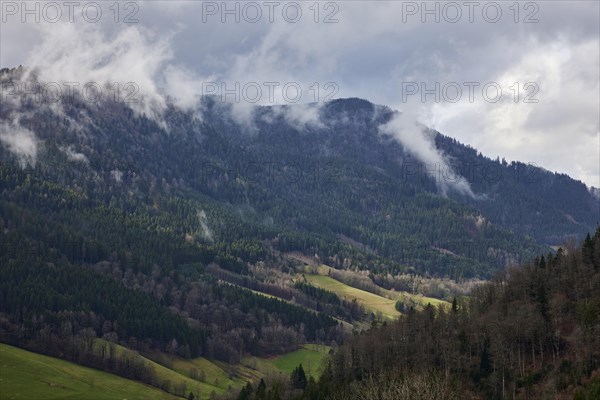 Three-valley view in the Black Forest with fog in Simonswald, Emmendingen district, Baden-Wuerttemberg, Germany, Europe