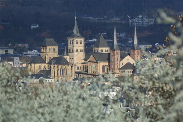 View of UNESCO St Peter's Cathedral and Church of Our Lady in spring, shrub, blossoming, light mood, cityscape, Trier, Rhineland-Palatinate, Germany, Europe