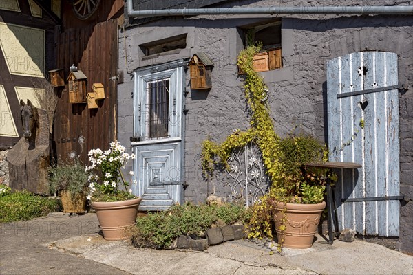 Old farmhouse, facade, decorated, flower pots, dipladenia (Mandevilla boliviensis), knotweed (Fallopia baldschuanica), weathered wooden door with heart, bird house, nesting box, idyll, romantic, Nidda, Vogelsberg, Wetterau, Hesse, Germany, Europe