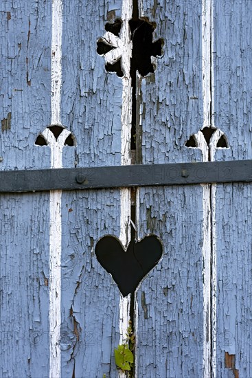 Wooden door with heart, stable door, light-coloured varnish, weathered, leaves of knotweed (Fallopia baldschuanica), old farmhouse, idyll, romantic, Nidda, Vogelsberg, Wetterau, Hesse, Germany, Europe