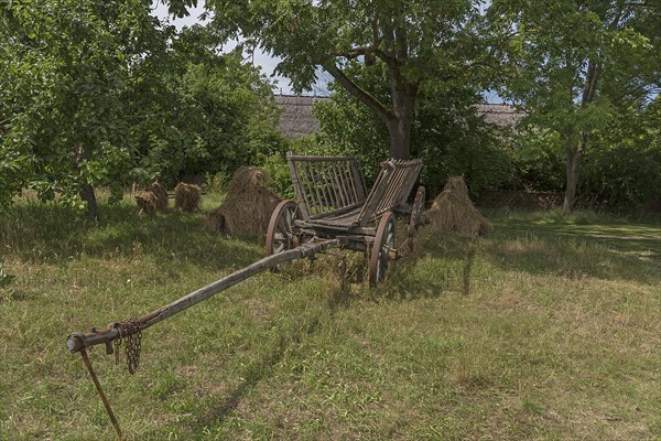 Ladder wagon around 1900 on the farm, Open-Air Museum of Folklore Schwerin-Muess, Mecklenburg-Vorpommerm, Germany, Europe