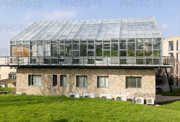 Scientific research of plants, Essex Plant Innovation Centre, University of Essex, Colchester, Essex, England, UK