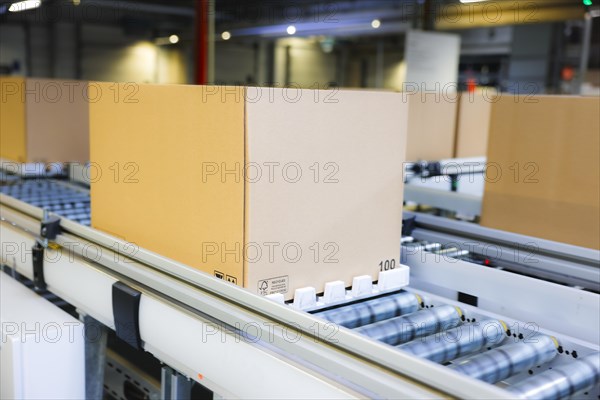 Cartons for dispatch on a conveyor belt in a logistics centre, Cologne, North Rhine-Westphalia, Germany, Europe