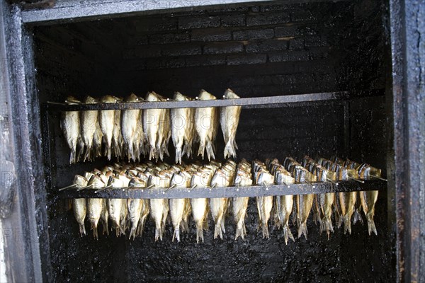 Smoking herrings, Zuiderzee museum, Enkhuizen, Netherlands