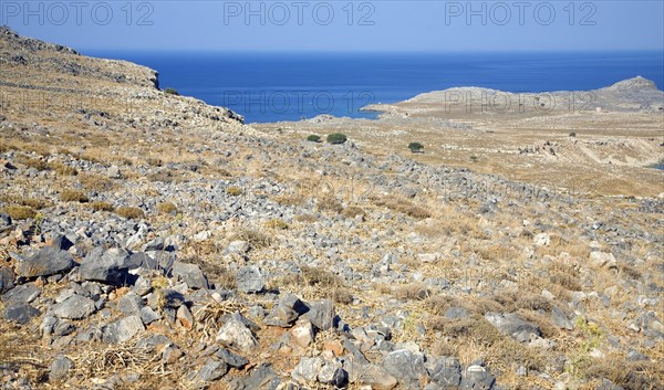 Brown barren limestone hillside summer drought, Rhodes, Greece near Lindos