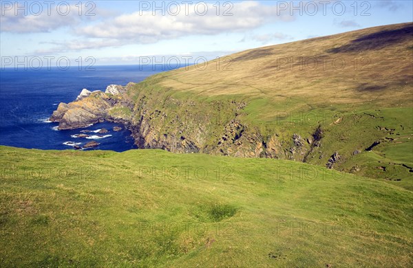 Cliffs coastal scenery, Hermaness, Unst, Shetland islands, Scotland, United Kingdom, Europe