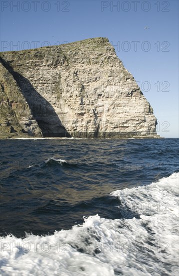 Noup of Noss gannet colony cliffs, Noss, Shetland Islands, Scotland, United Kingdom, Europe