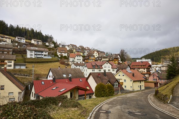 Residential buildings on a slope and small street in Guetenbach, Black Forest-Baar-Kreis, Baden-Wuerttemberg, Germany, Europe