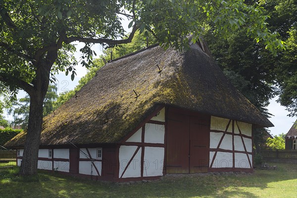 Historic thatched barn from the 18th century, open-air museum for folklore Schwerin-Muess, Mecklenburg-Vorpommerm, Germany, Europe