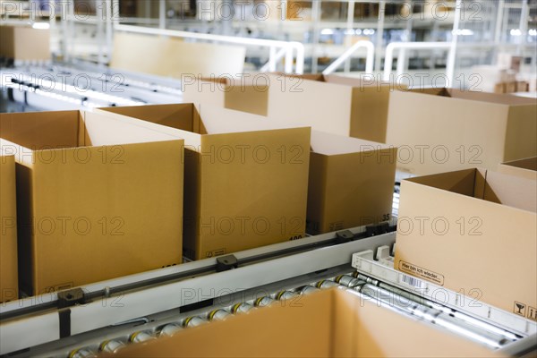 Cartons for dispatch on a conveyor belt in a logistics centre, Cologne, North Rhine-Westphalia, Germany, Europe