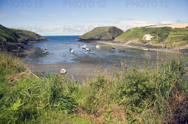 Abercastle bay, Pembrokeshire, Wales, United Kingdom, Europe