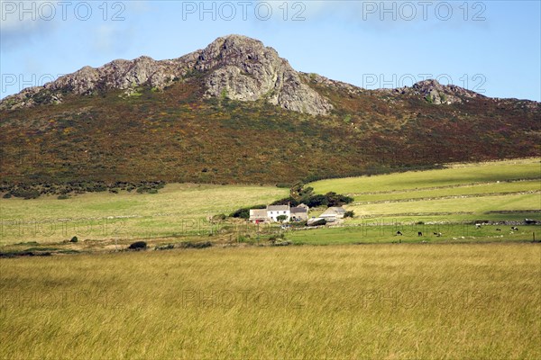 Carn Llidi tor, St David's Head youth hostel, Pembrokeshire, Wales, United Kingdom, Europe