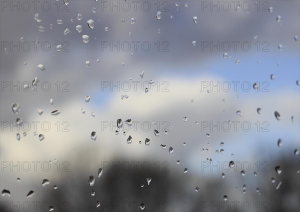 Raindrops on a window pane, North Rhine-Westphalia, Germany, Europe