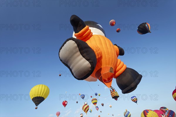 Hot-air balloons, Ballooning Festival, Saint-Jean-sur-Richelieu, Quebec Province, Canada, North America