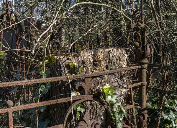 Rusty grave fences, Kirchof 1 of the Evangelische Georgen-Parochialgemeinde, Greisfswalder Strasse, Berlin, Germany, Europe