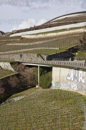 Vineyard terraces and the main road 12 towards Jongny in the Lavaux vineyard terraces UNESCO World Heritage Site near Corsier-sur-Vevey, Riviera-Pays-d'Enhaut district, Vaud, Switzerland, Europe