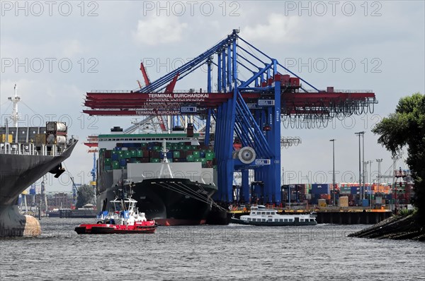 Container terminal with cranes and a moored cargo ship in the harbour, Hamburg, Hanseatic City of Hamburg, Germany, Europe