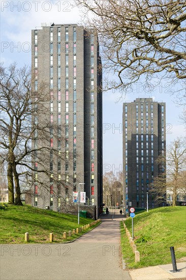 High rise tower blocks student accommodation, South Towers, University of Essex, Colchester, Essex, England, UK