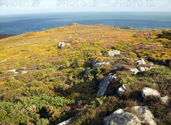 View to sea from Carn Llidi tor, St David's Head, Pembrokeshire, Wales, United Kingdom, Europe