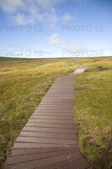 Footpath walkway, Hermaness, Unst, Shetland Islands, Scotland, United Kingdom, Europe