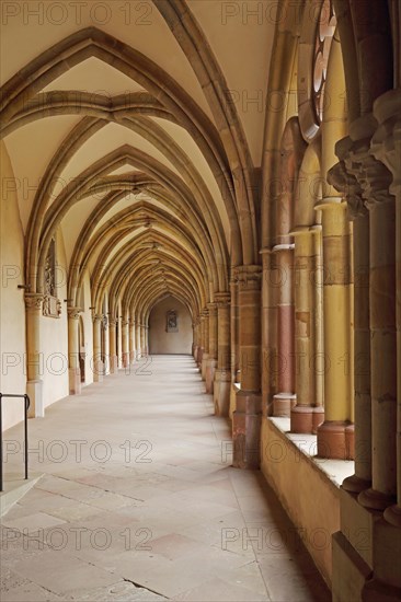 Cloister with ribbed vault at UNESCO St Peter's Cathedral, interior view, Trier, Rhineland-Palatinate, Germany, Europe