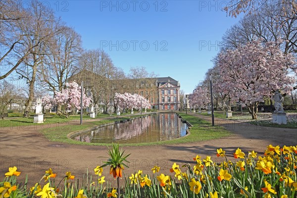 Palace garden and electoral palace with blossoming magnolia trees in spring, daffodils, flower bed, mood, idyll, pond, Trier, Rhineland-Palatinate, Germany, Europe