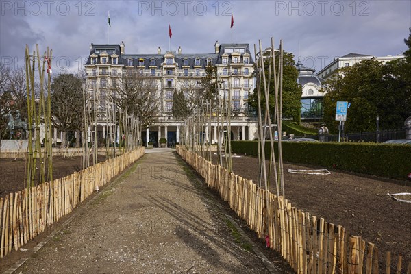 Hotel Beau-Rivage Palace and bare winter trees in the Ouchy neighbourhood, Lausanne, district of Lausanne, Vaud, Switzerland, Europe