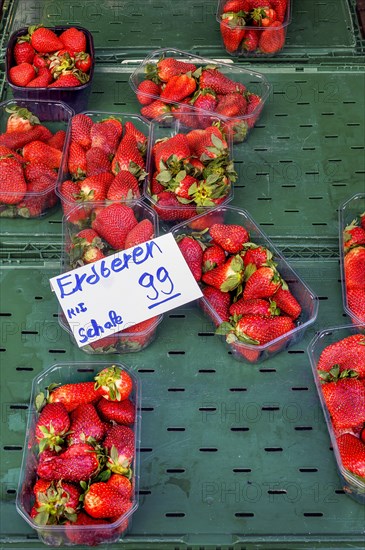 A fruit stand in mid-March with overripe strawberries, bowl for EUR 0, 99, Allgaeu, Bavaria, Germany, Europe